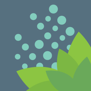 Rural Preconference Session Icon