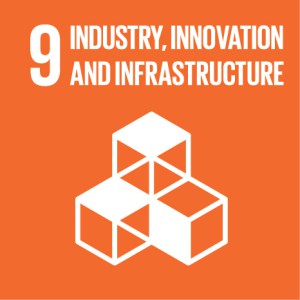 Goal 9: Industry, Innovation, and Infrastructure