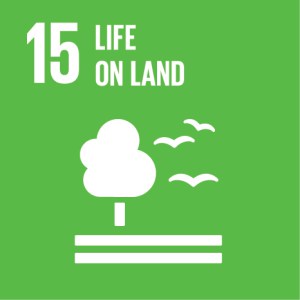 Goal 15: Life on Land