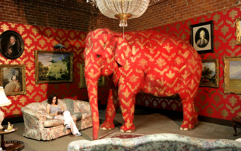 An elephant with