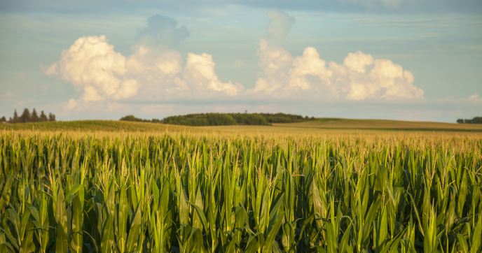 On a Minnesota Farm, Generosity Comes First