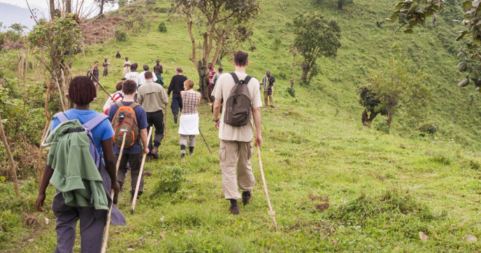 A group of hikers and guides returning from a gorilla trek in Bwindi, Uganda
